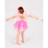 FAIRY DRESS+WINGS+DIADEM+WAND 98-104 CL 2-4 YEARS