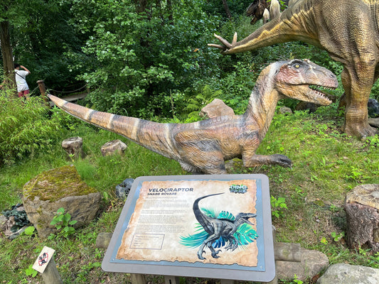 Jag såg dinosaurier på Borås Djurpark
