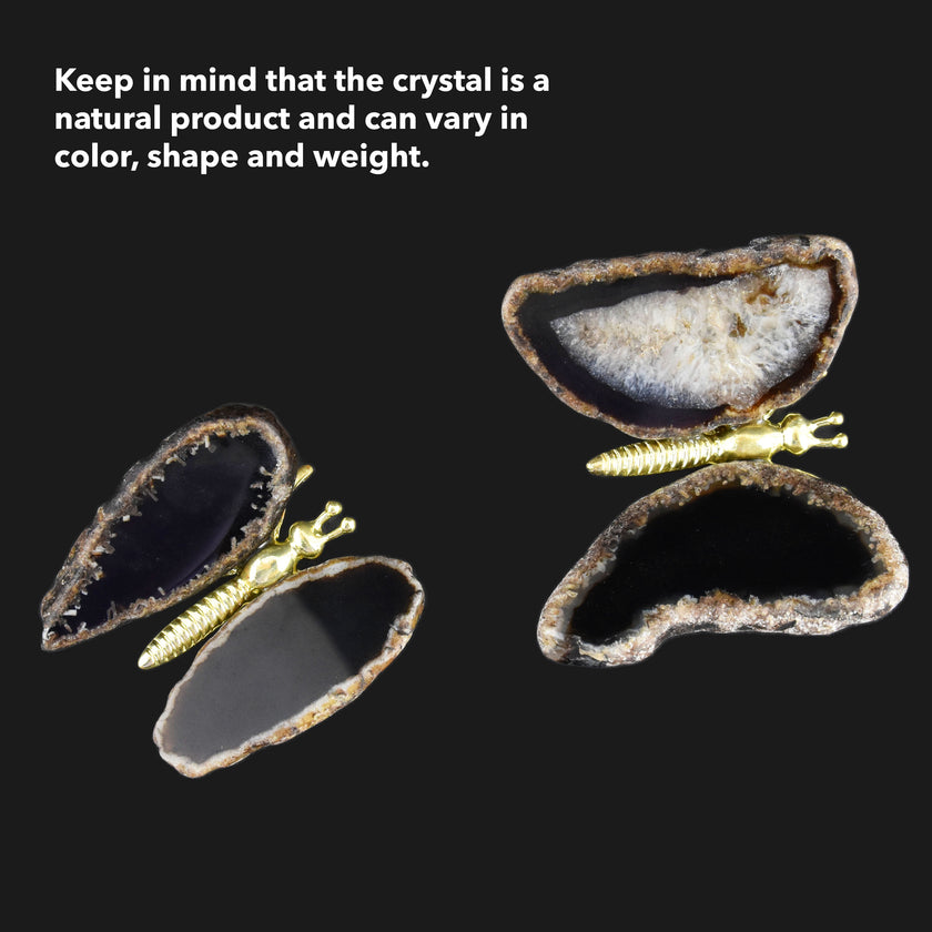 Ametistfjäril 4-6cm