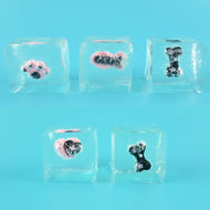 Squeeze ice cube cat paw 50g