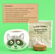 Växande gräskit skogsdjur 6cm