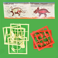 Dinosaurieanatomi-pussel 3D 32bitar 15cm