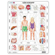 Pussel människokropp 35 bitar